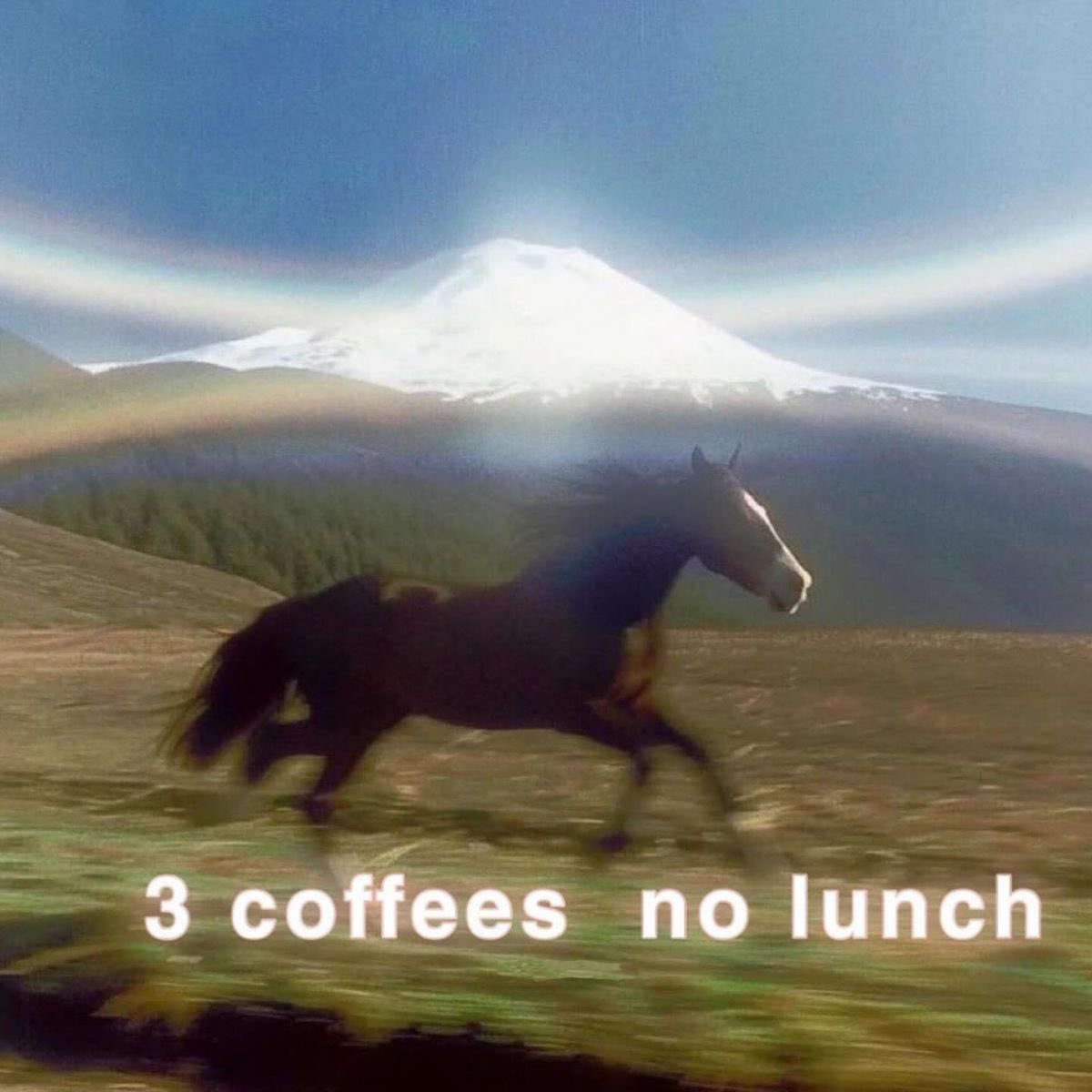 6coffee0lunch